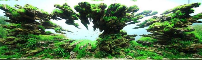 Incredible Aquariums Incredible Aquariums