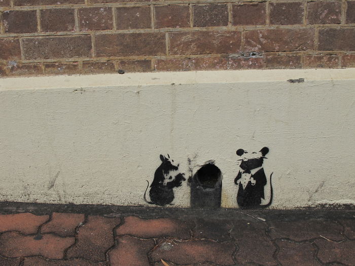 Mouse Hole - West End, Brisbane Australia