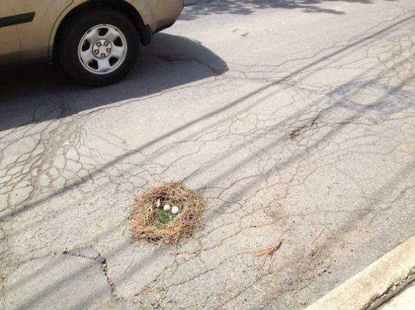 Pothole Photo Contest Encourages Locals To Submit Hilarious Photos Of Potholes
