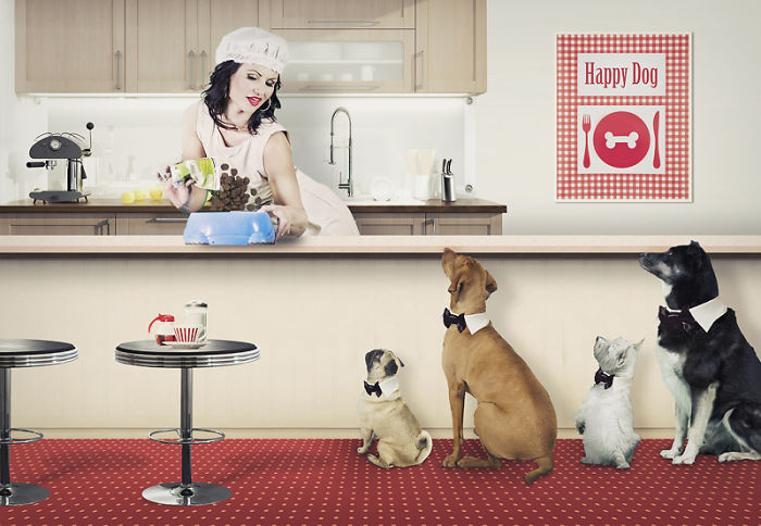 8 Retro Dogs Photo Manipulations