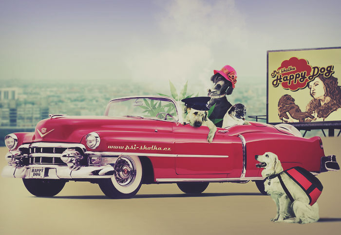 8 Retro Dogs Photo Manipulations