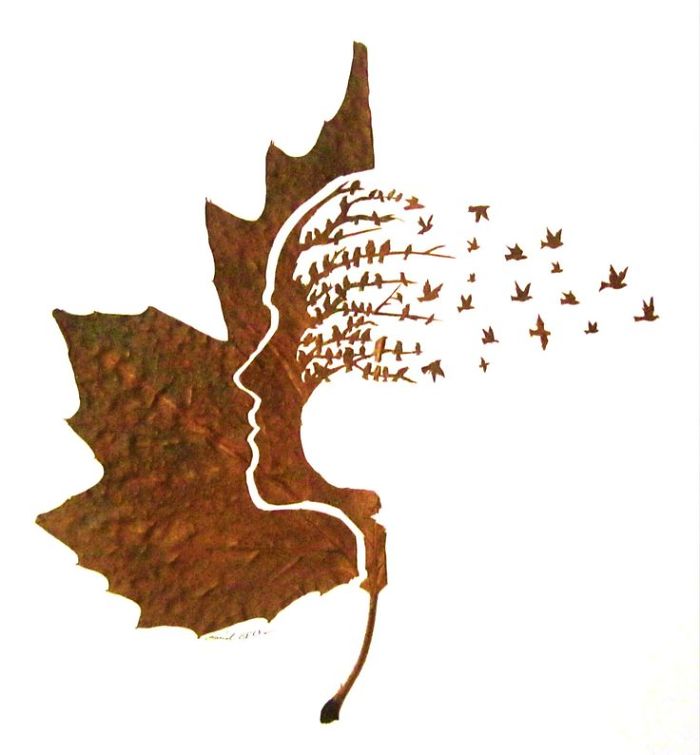 Delicate Leaf Cutting By Omid Asadi