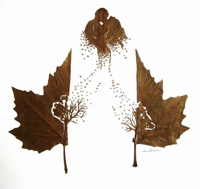 Delicate Leaf Cutting By Omid Asadi