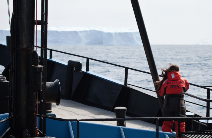 16 Pictures Of Elissa Sursara Saving Whales In Antarctica