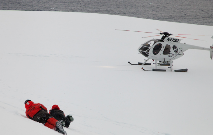 16 Pictures Of Elissa Sursara Saving Whales In Antarctica
