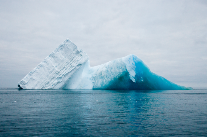 16 Pictures Of Elissa Sursara Saving Whales In Antarctica