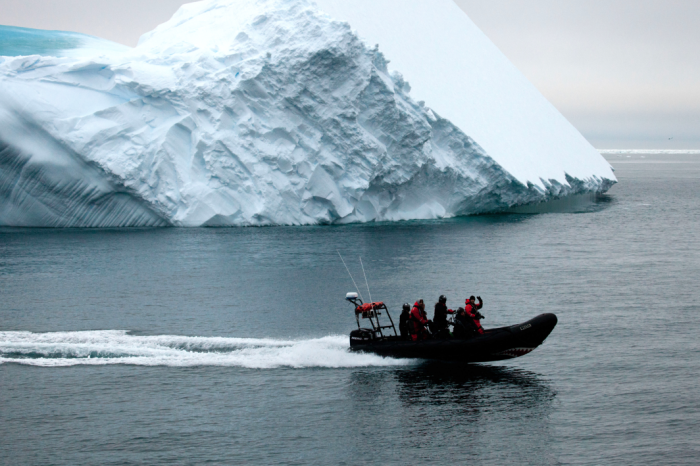 16 Pictures Of Elissa Sursara Saving Whales In Antarctica