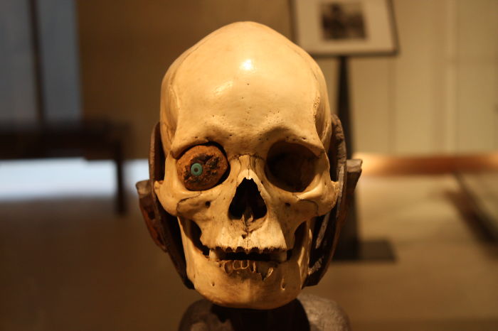 A Skull From Louvre