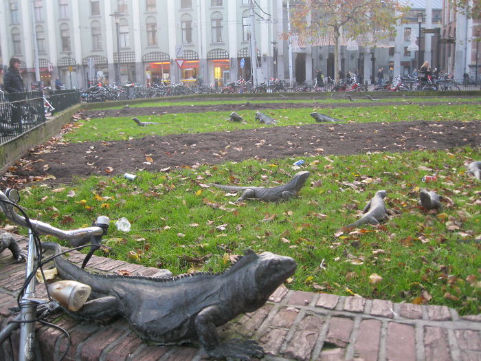 Iguana Park - Amsterdam