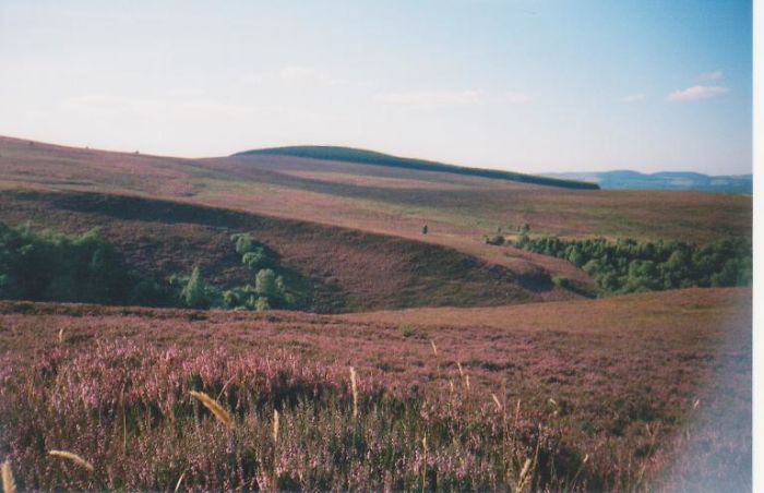 1999 - Somewhere In The Cairngorms National Park