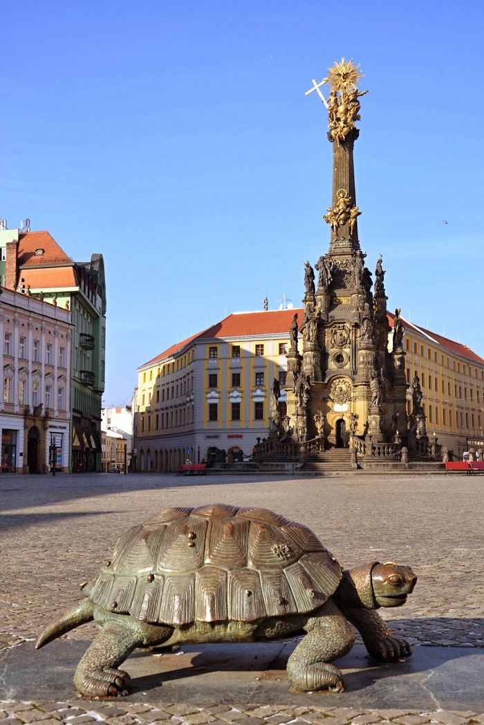 Turtle In Olomouc, Czech Republic