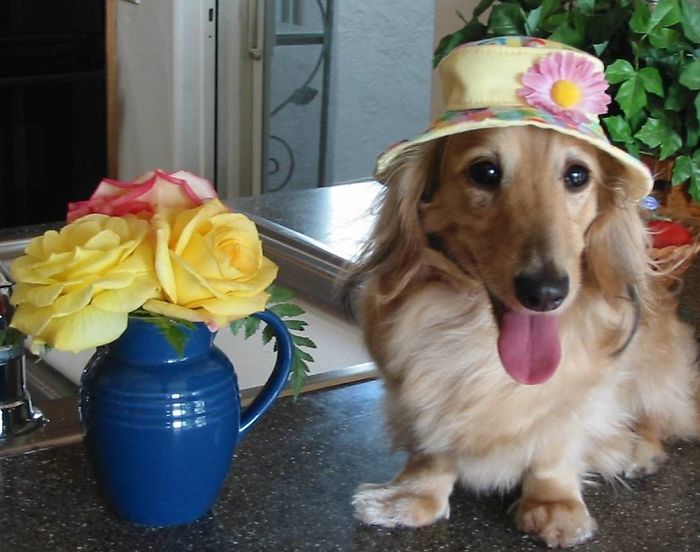 Zoe In Her Spring Hat