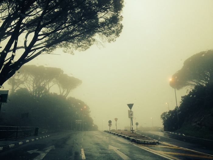 Misty Morning, Cape Town, South Africa