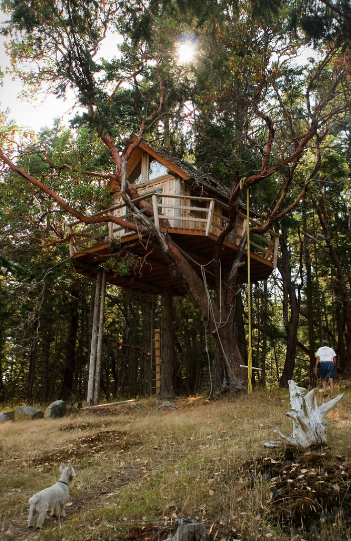 Treehouse On Henry Island