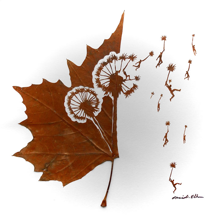 Delicate Leaf Cuttings By Omid Asadi