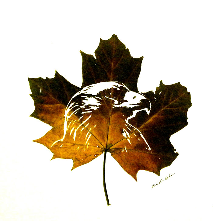 leaf-cutting-omid-asadi-6