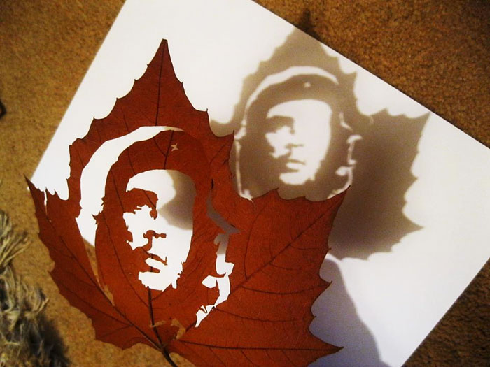 leaf-cutting-omid-asadi-9