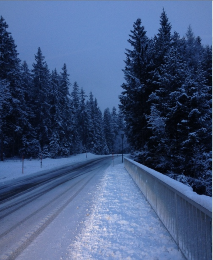 Snowy Austrian Road