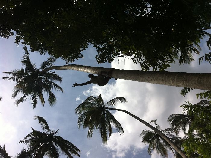 Up! At Zanzibar By @rnkpy