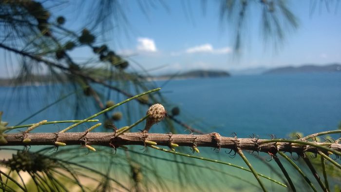 Nha Trang Beach, By Lumia 928