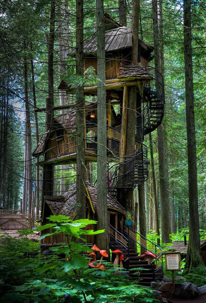 A Treehouse In British Columbia, Canada