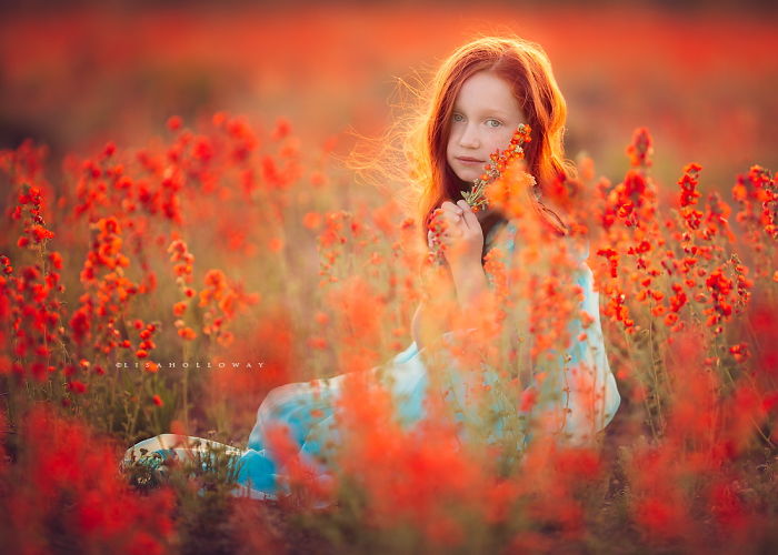 Fiery Evening By Lisa Holloway