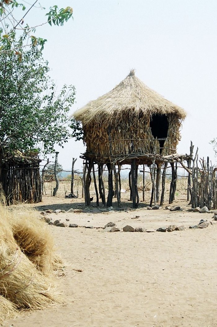 #22 Ndebele Treehouse, Hwange Area, Zimbabwe