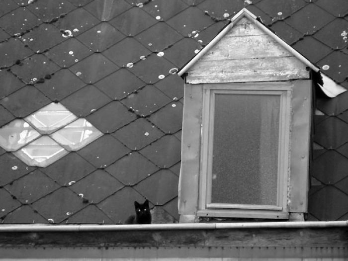 Waiting On The Roof - Roubaix, France. Céline Petit.