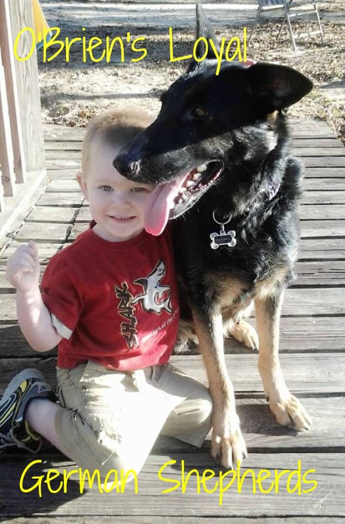My Son Lyam And Our Girl Grace (german Shepherd)