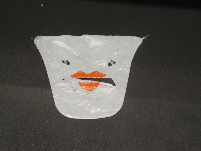 Plastic Bag Holders Are Not Amused