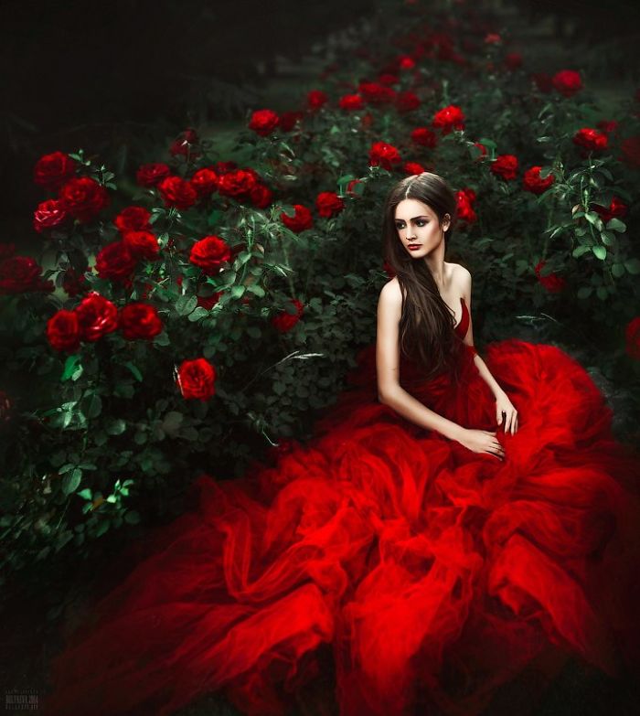 Red Rose By Svetlana Beliaeva