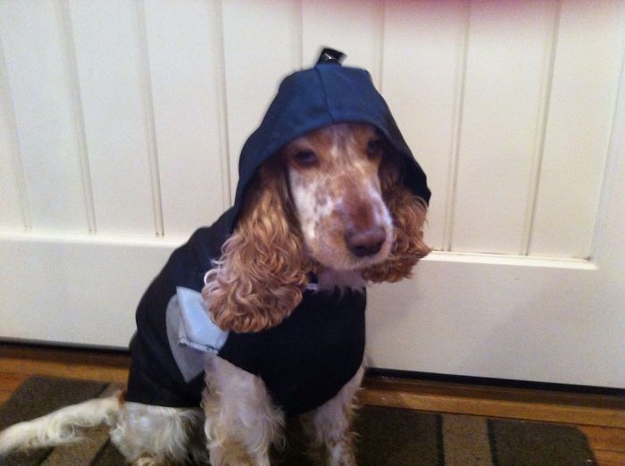 Lottie Ready For The Rain.