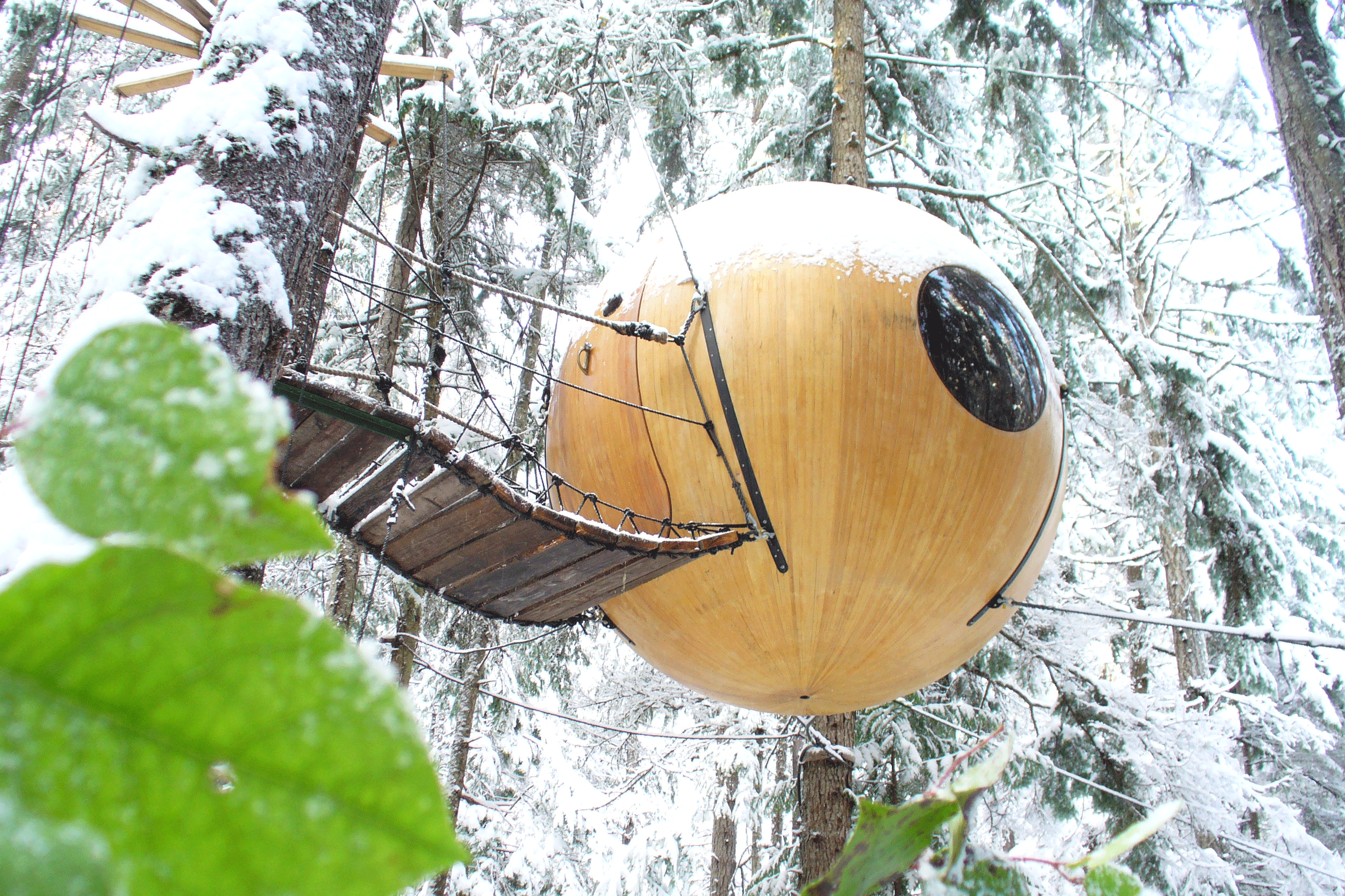 Free Spirit Spheres, Rainforest Of Vancouver Island, Canada