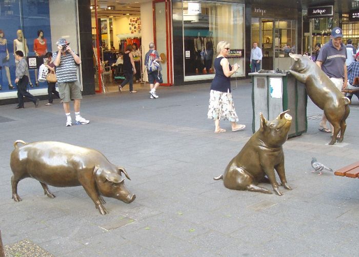 Rundle Mall Pigs, Adelaide, Australia