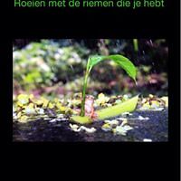 jeannette.bruin avatar