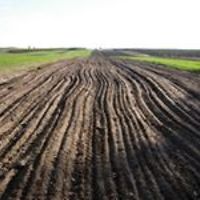 cezary.scibiorski avatar