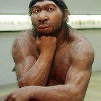 emil.vujasinovic avatar