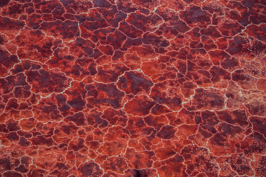 Amazing Blood-red Lake In Tanzania
