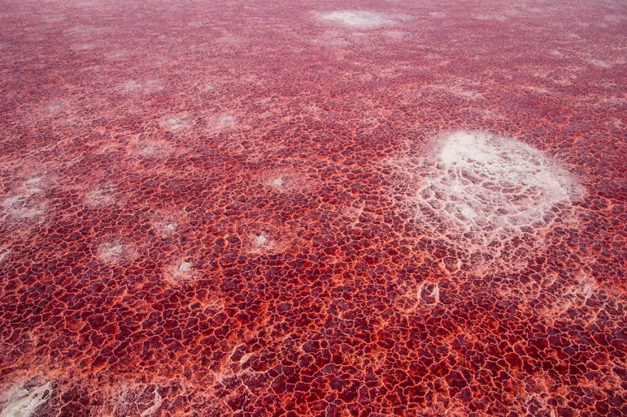 Amazing Blood-red Lake In Tanzania