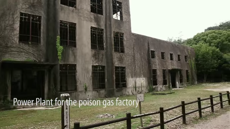 My Friend And I Documented An Island Full Of Bunnies And Poison Gas Factory Relics
