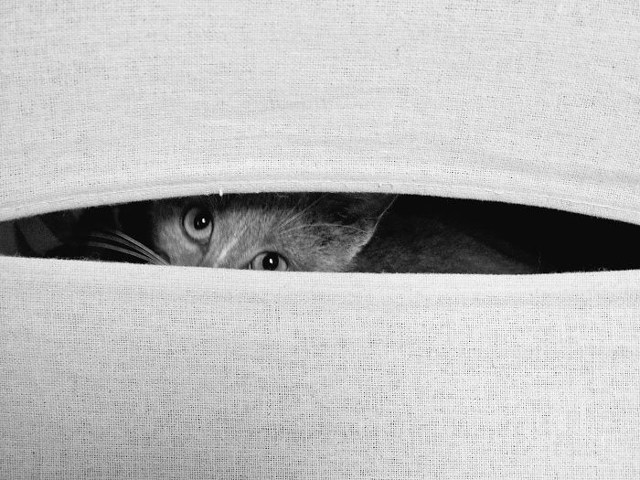 I See You, Do You See Me?