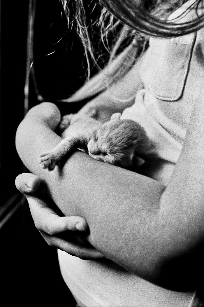Newborns On Black And White Film
