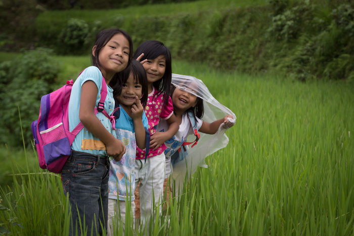 Philippines Childs In Rice Terraces
