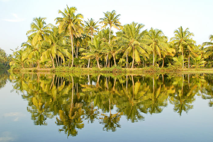 Backwaters Of Kerala, India