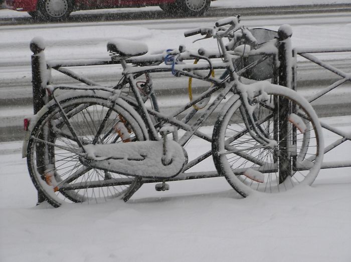 Cold Bikes. Lille France
