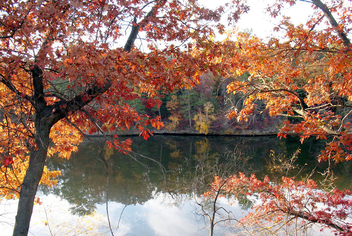 Wisconsin Dells Autumn