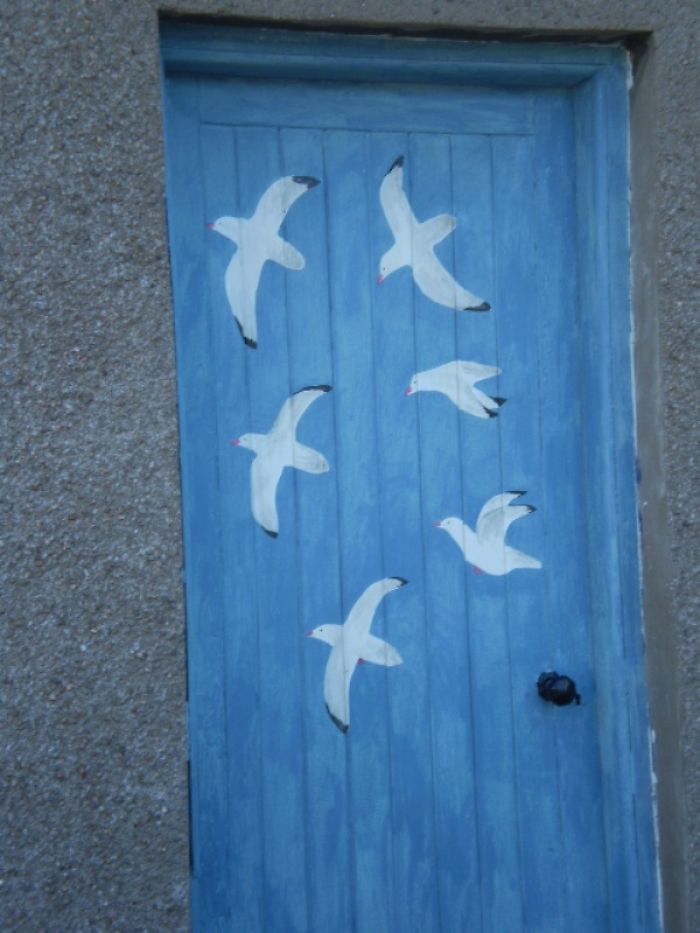 Bluebird Door