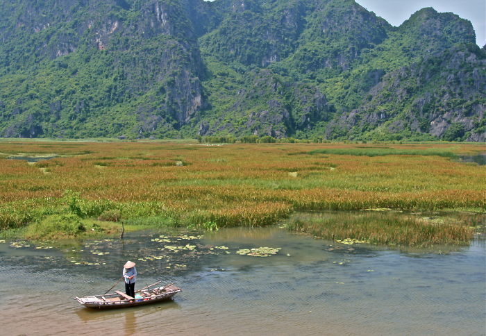 Van Long Wetlands, Vietnam