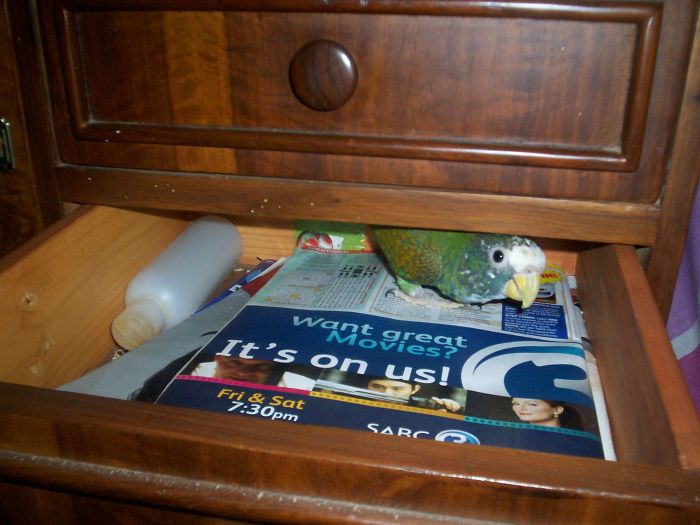 In My Drawer. Out!