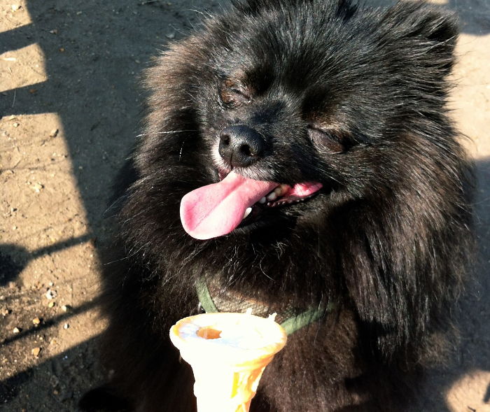 Mr Ted's First Ever Ice Cream...